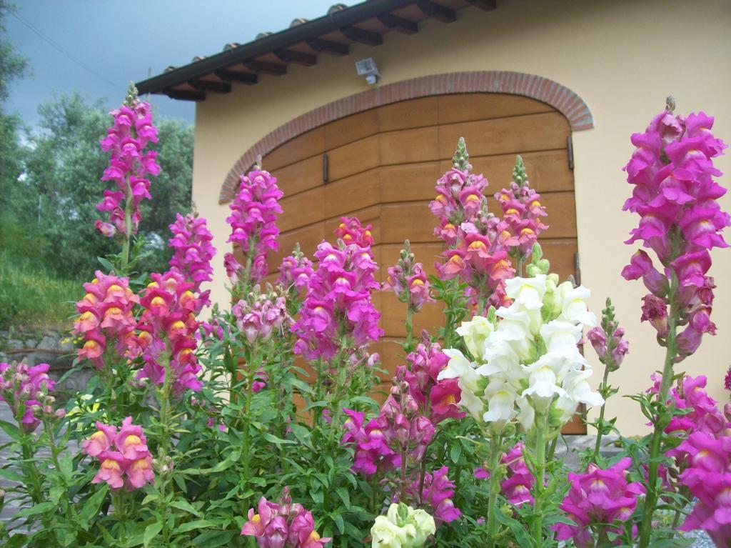 דירות Matraia La Casa Dei Limoni מראה חיצוני תמונה