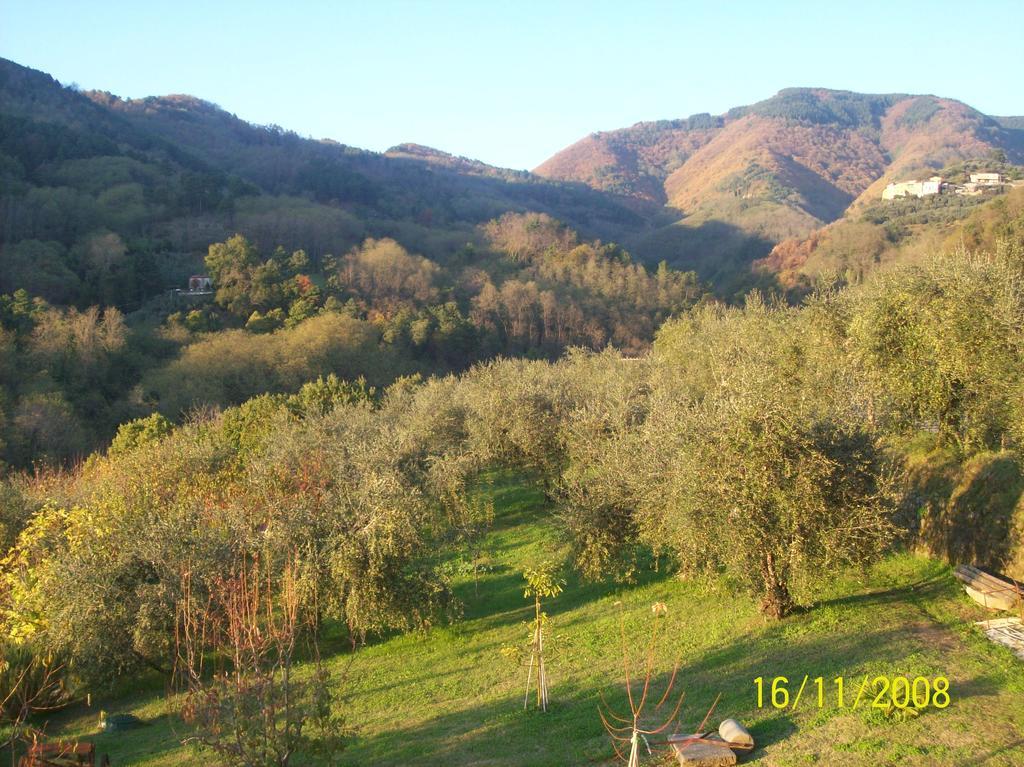דירות Matraia La Casa Dei Limoni מראה חיצוני תמונה