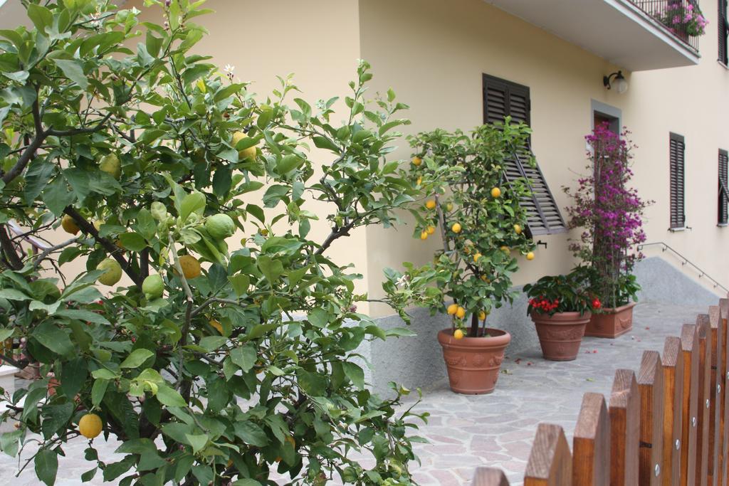 דירות Matraia La Casa Dei Limoni מראה חיצוני תמונה